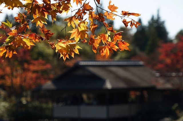 イメージ 11