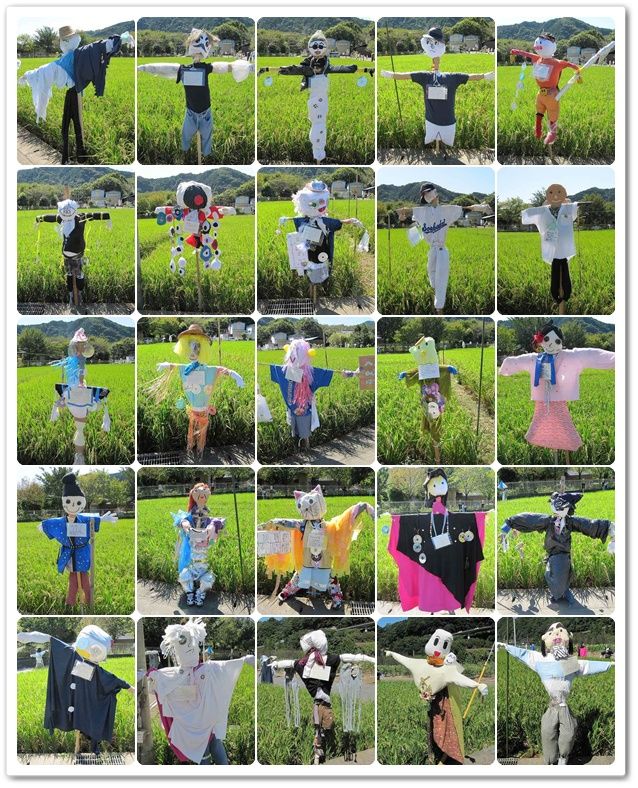 イメージ 5