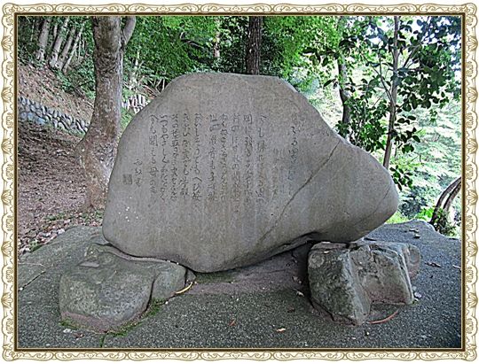 イメージ 7