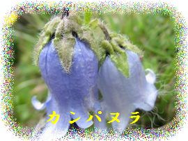 イメージ 34
