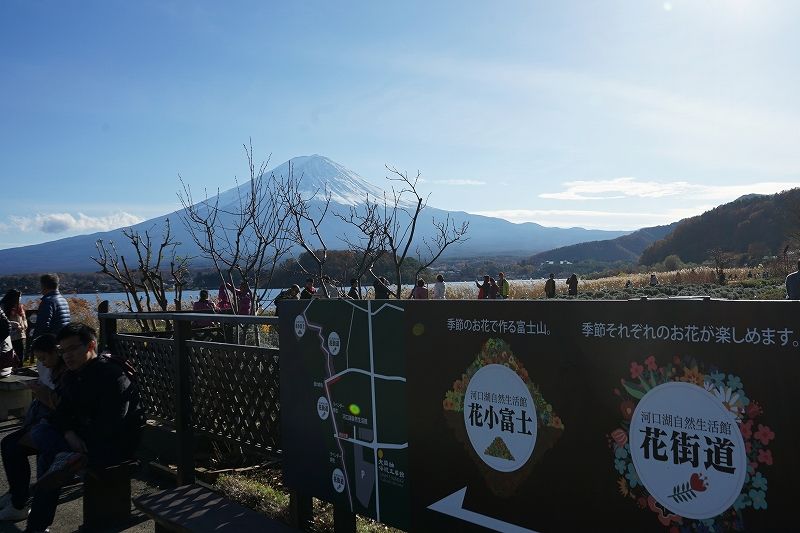 イメージ 9