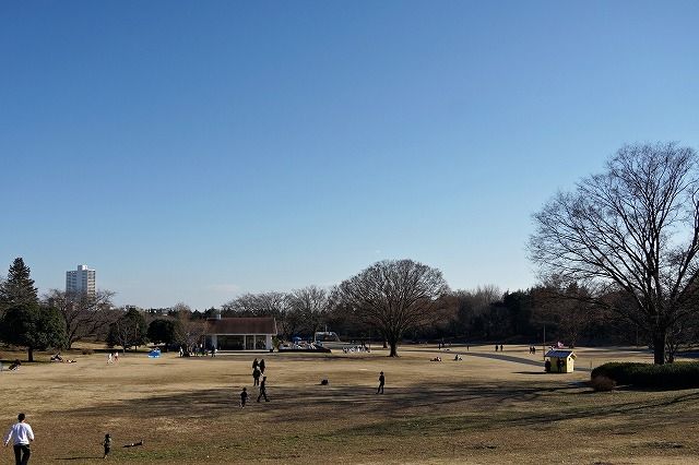 イメージ 2