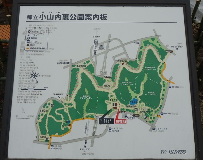 イメージ 2