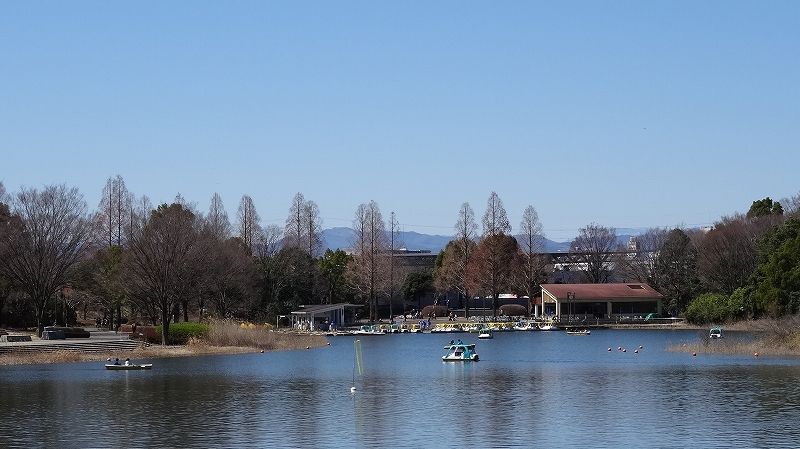 イメージ 5