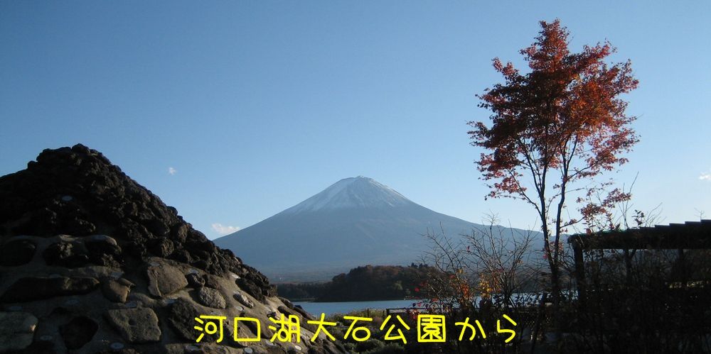 イメージ 5