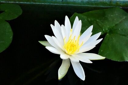 P1050508