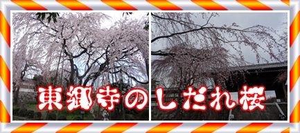 イメージ 10