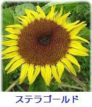 イメージ 8