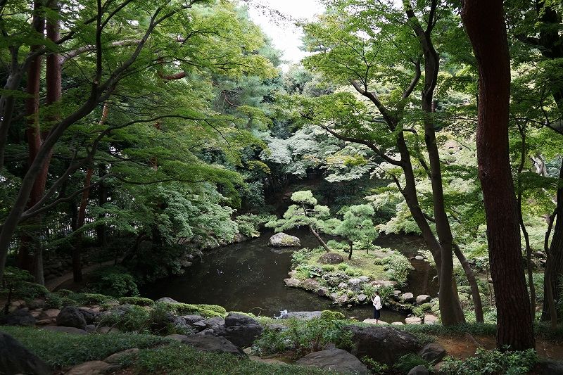 イメージ 16