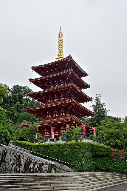 イメージ 9