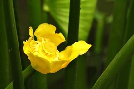 P1009692