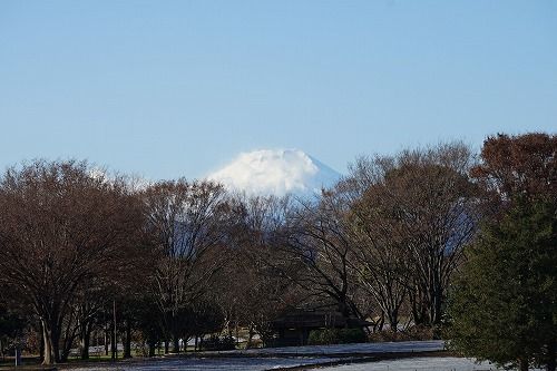 イメージ 3