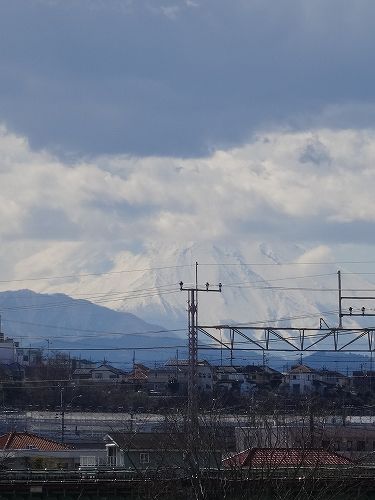 イメージ 3