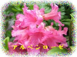 イメージ 32