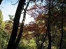 イメージ 13