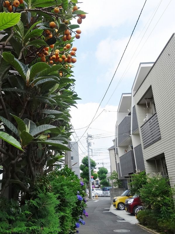 イメージ 4
