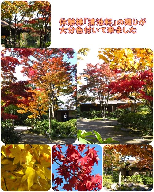 イメージ 7