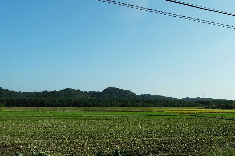 イメージ 5