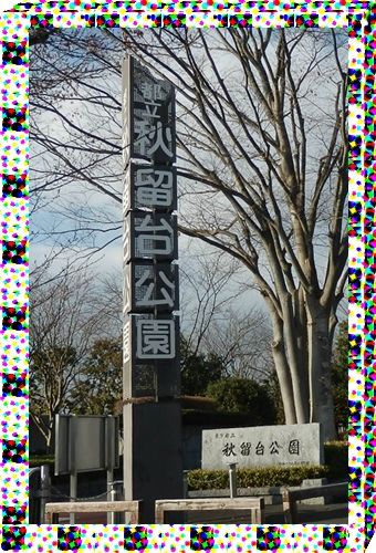 イメージ 6