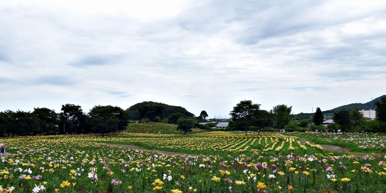イメージ 10