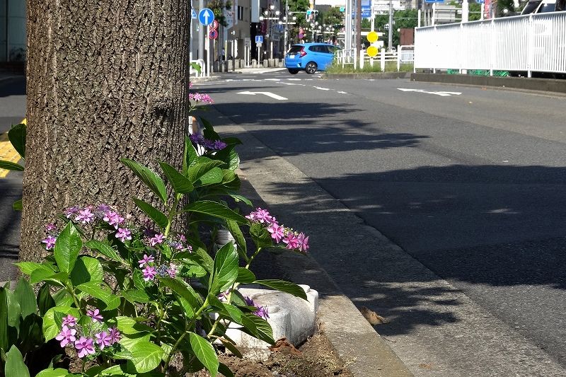 イメージ 9