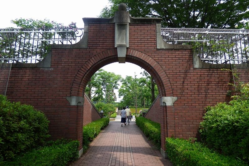 イメージ 4