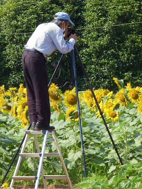 イメージ 9