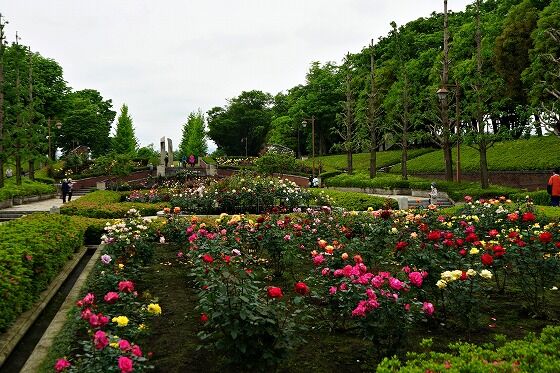 DSC08707