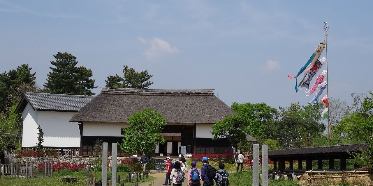 イメージ 8