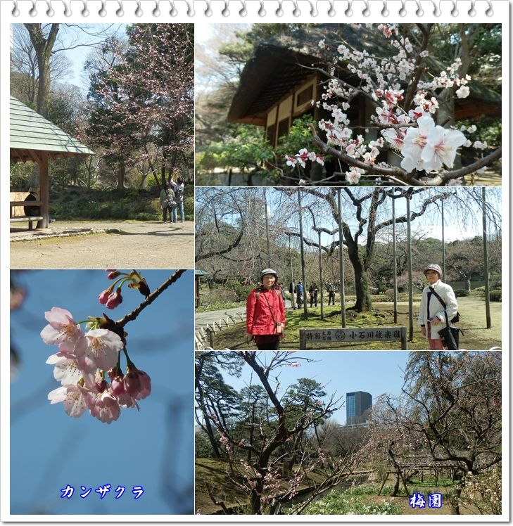 イメージ 6