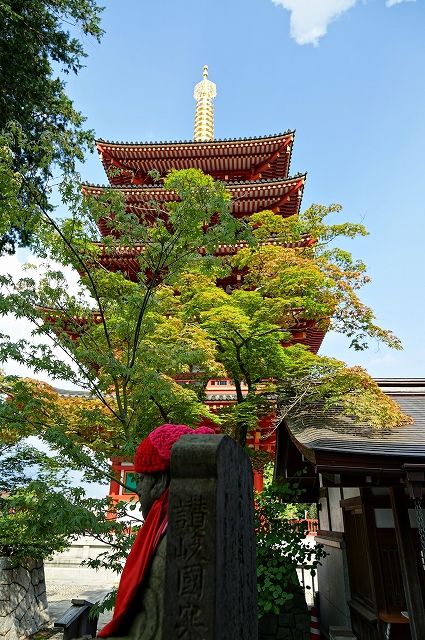 イメージ 11