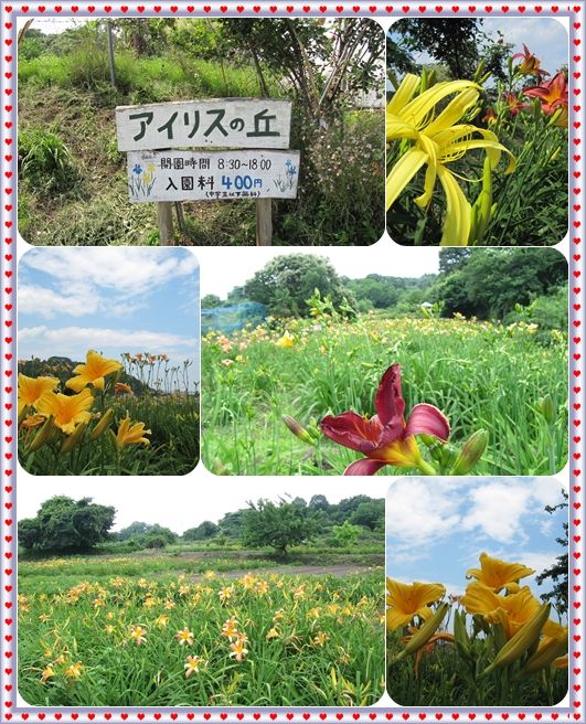 イメージ 9