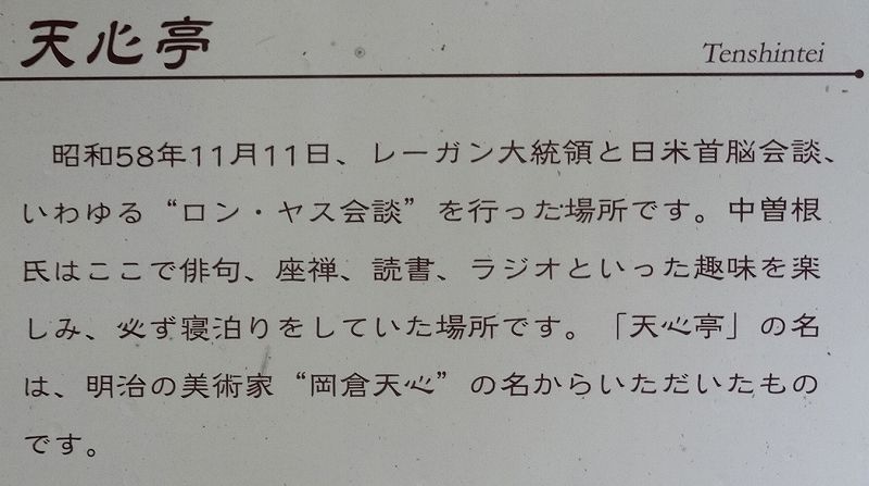 イメージ 10