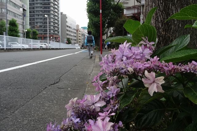 イメージ 19