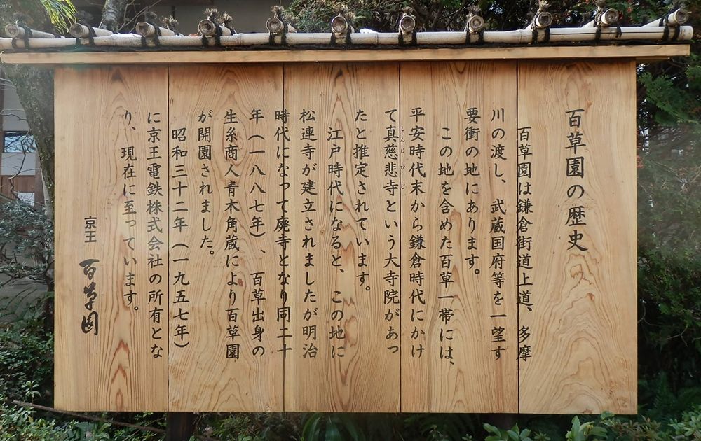 イメージ 11