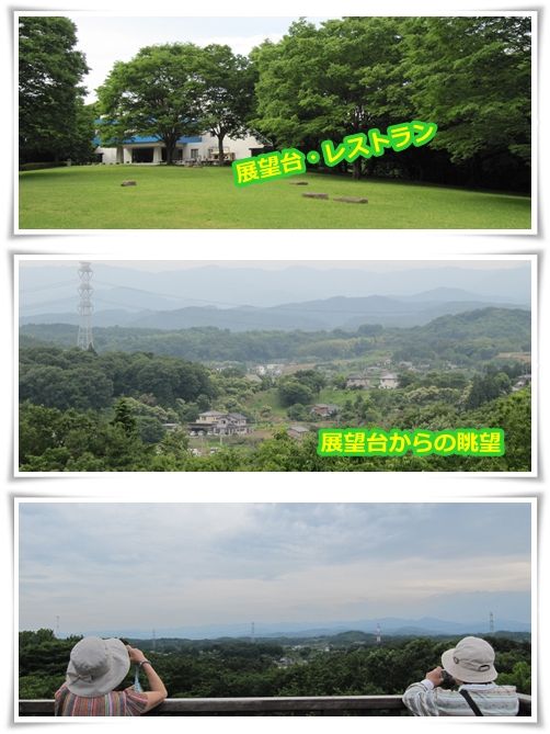 イメージ 5
