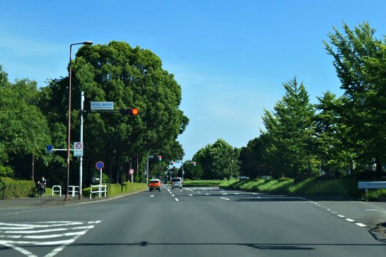 P1050562
