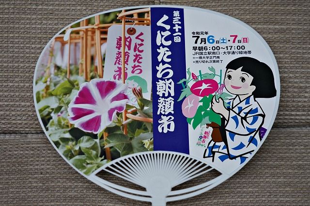 くにたち朝顔市 気ままな観光 くにたち朝顔市 気ままな観光