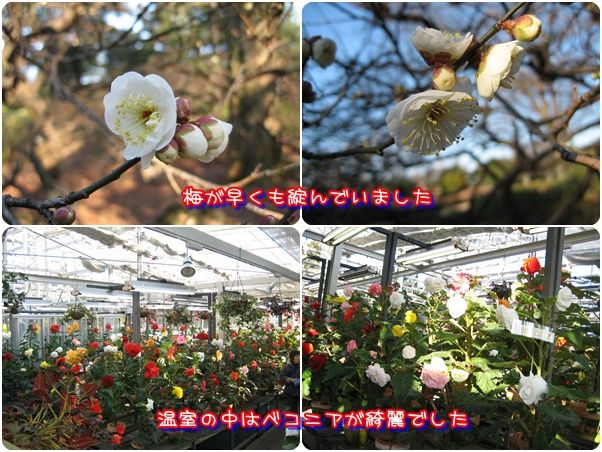 イメージ 4