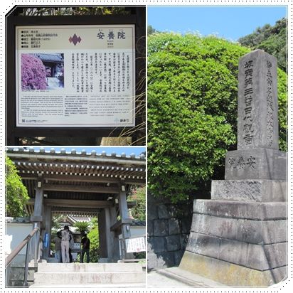 イメージ 10