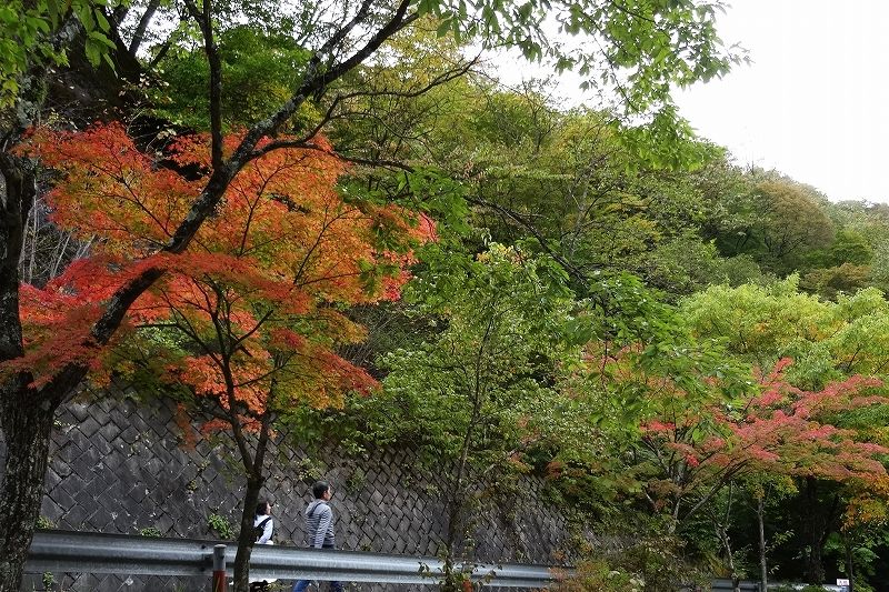 イメージ 15
