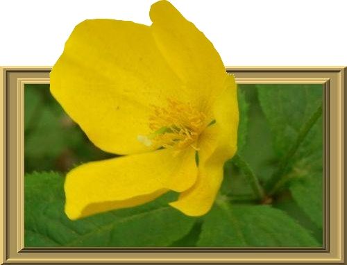 イメージ 8
