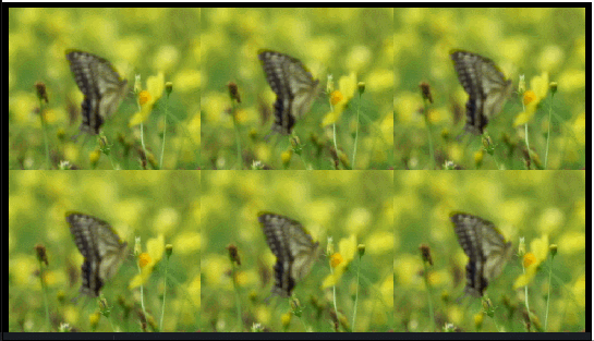 GIF