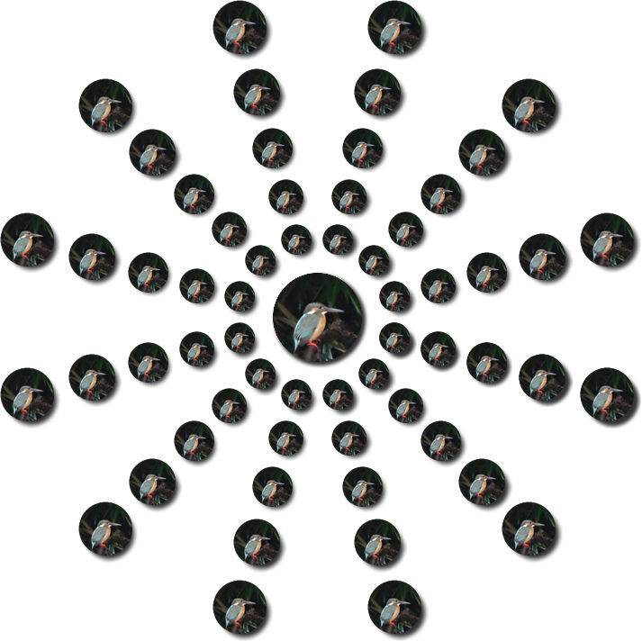 イメージ 8