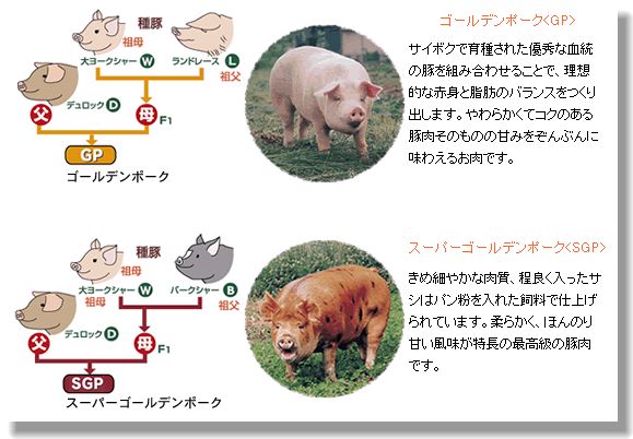 イメージ 4