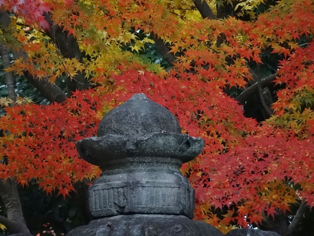イメージ 15