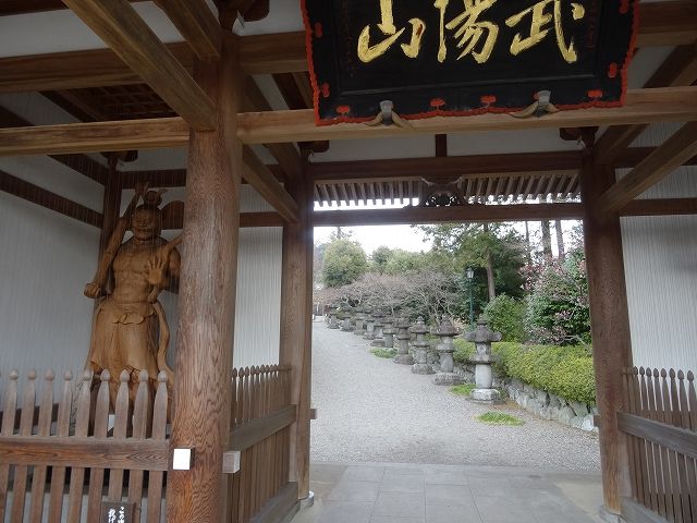 イメージ 12