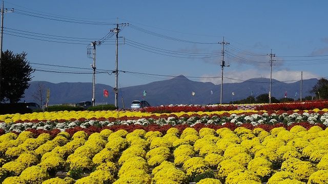 イメージ 7