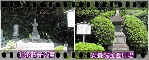 イメージ 12