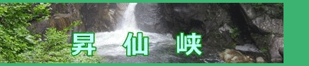 イメージ 9